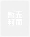 安妮的答案(1v2 np)